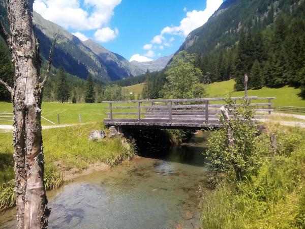 Dans les environs [été] (1-5 km)