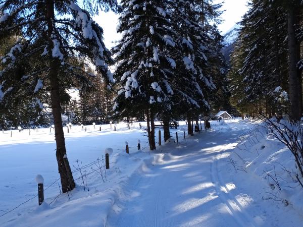 Dans les environs [hiver] (1-5 km)