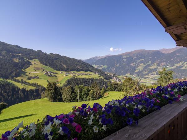 Aussicht vom Ferienhaus [Sommer]