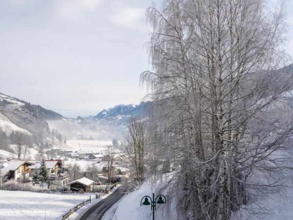 View from Holiday Home [winter]