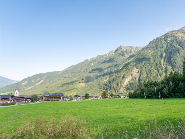 Aussicht vom Ferienhaus [Sommer]