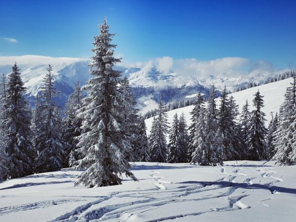 In der Region [Winter] (>5 km)