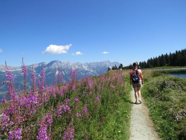 In der Region [Winter] (>5 km)