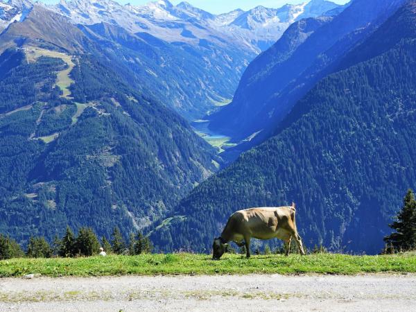 In der Region [Sommer] (>5 km)