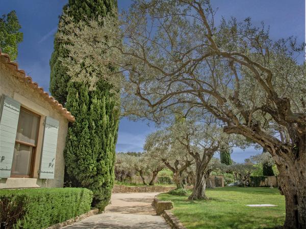 Jardin [été]