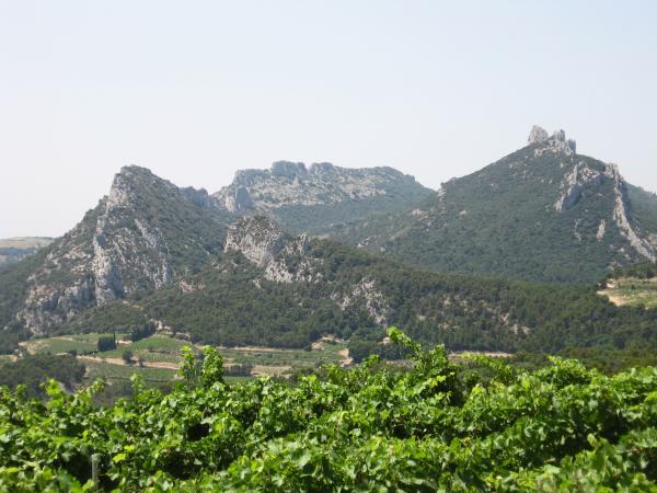 Dans la région [été] (>5 km)