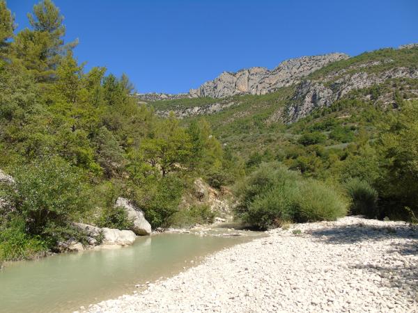 Dans la région [été] (>5 km)