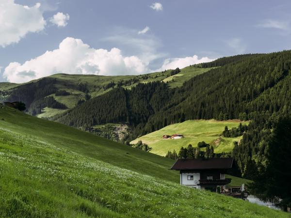 Außenseite Ferienhaus [Sommer]