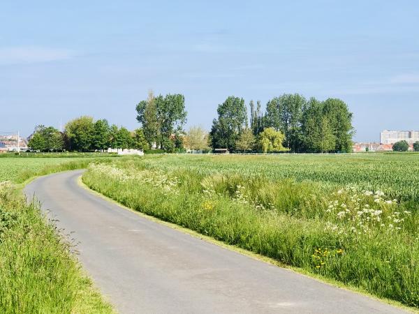 Direkte Umgebung [Sommer] (<1 km)