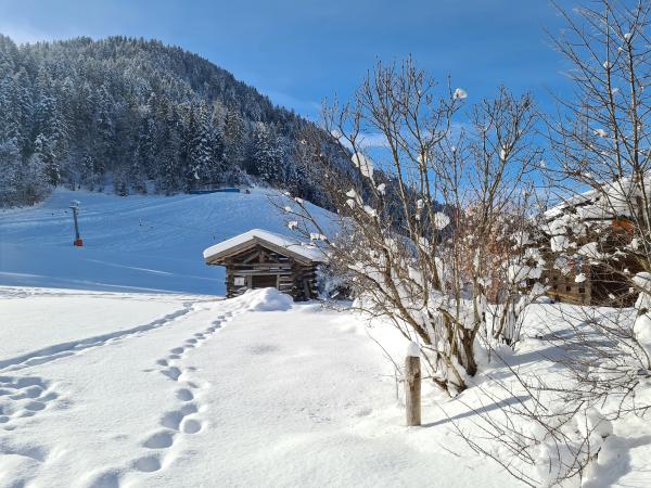 Aussicht vom Ferienhaus [Winter]