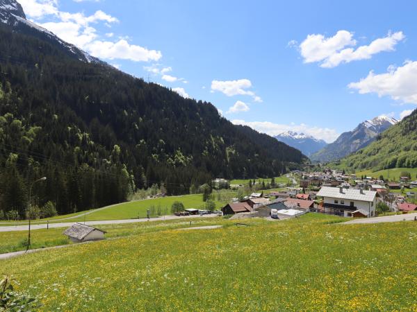 Aussicht vom Ferienhaus [Sommer]