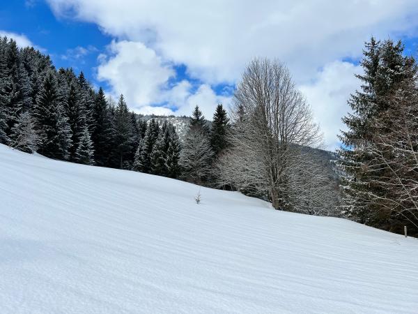 Direkte Umgebung [Winter] (<1 km)