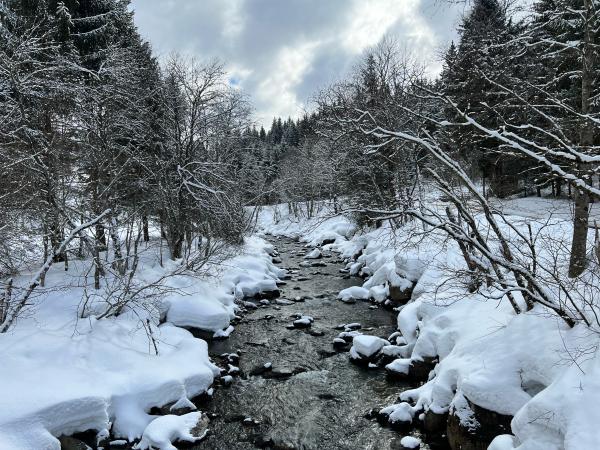 Immediate Surroundings [winter] (<1 km)