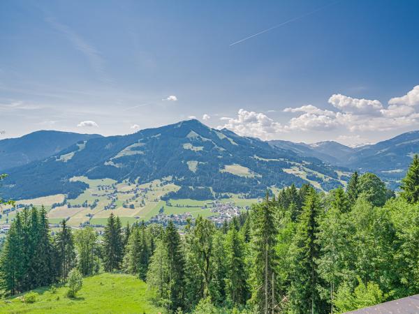 Aussicht vom Ferienhaus [Sommer]