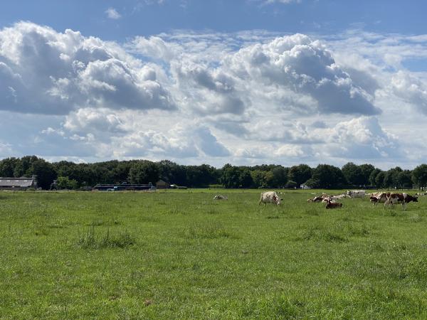 Vue de la maison de vacances [été]