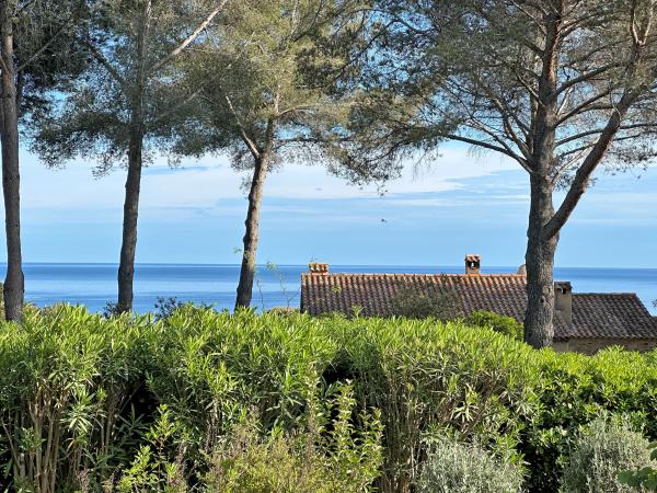 View from Holiday Home [summer]