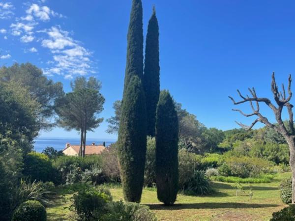 Vue de la maison de vacances [été]