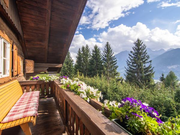 Terrasse / Balkon