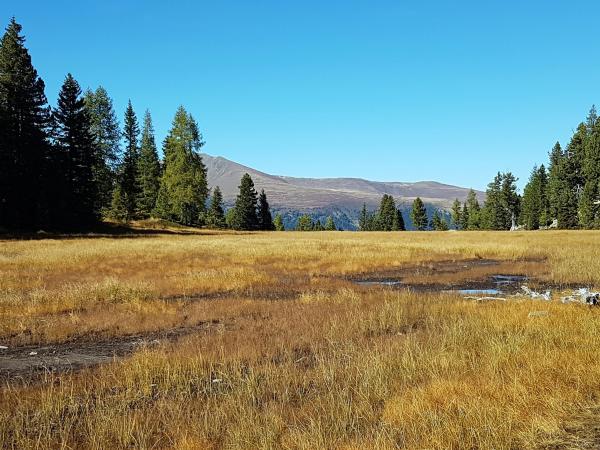 Surroundings [summer] (1-5 km)