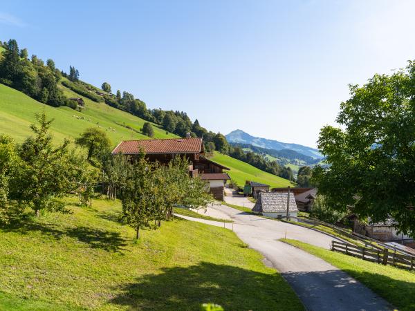 Vue de la maison de vacances [été]