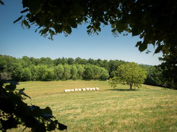 Vue de la maison de vacances [été]