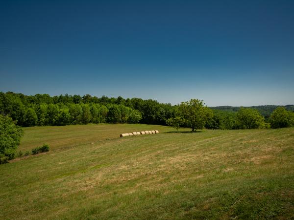 View from Holiday Home [summer]