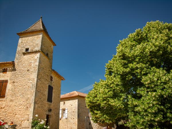 Extérieur maison de vacances [été]