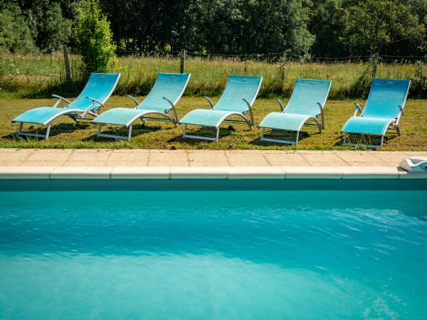 Schwimmbad des Ferienhauses