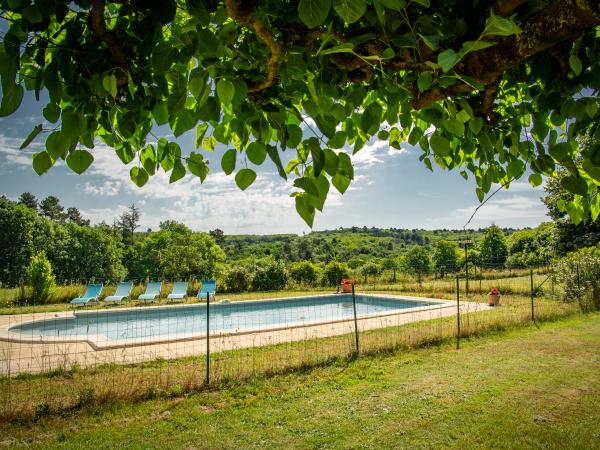 Schwimmbad des Ferienhauses