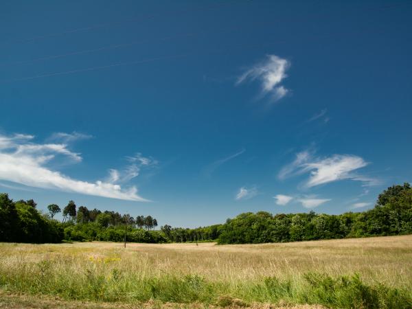 Vue de la maison de vacances [été]