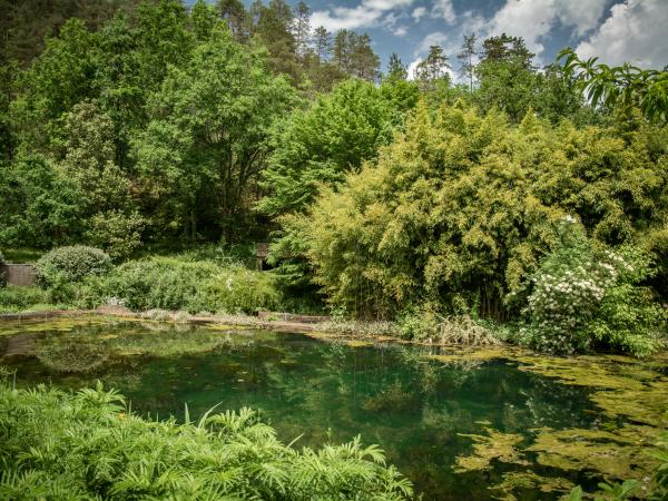 Jardin [été]