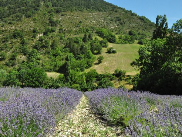 In der Region [Sommer] (>5 km)