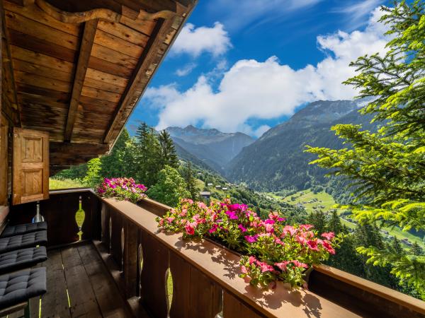 Aussicht vom Ferienhaus [Sommer]