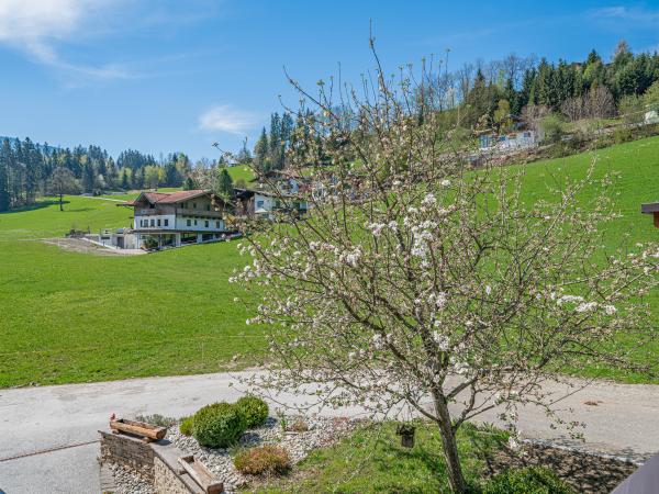 Aussicht vom Ferienhaus [Sommer]