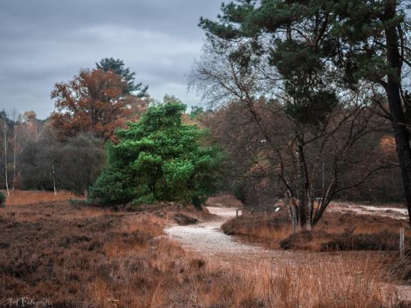 Surroundings [summer] (1-5 km)