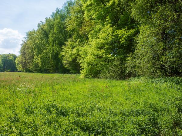 Direkte Umgebung [Sommer] (<1 km)