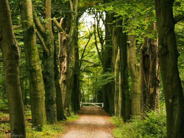 Dans les environs [été] (1-5 km)