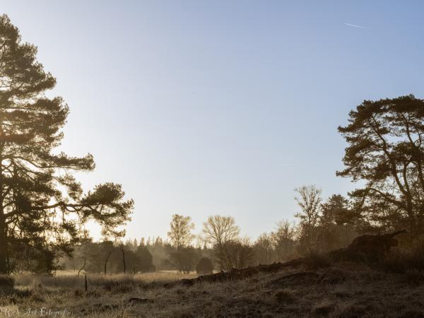 Surroundings [summer] (1-5 km)