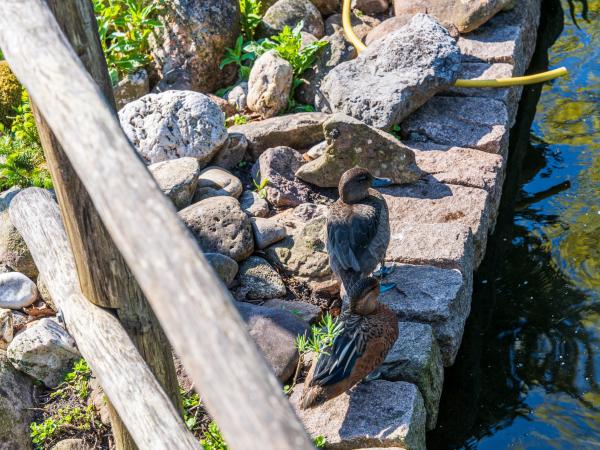 A proximité directe [été] (<1 km)