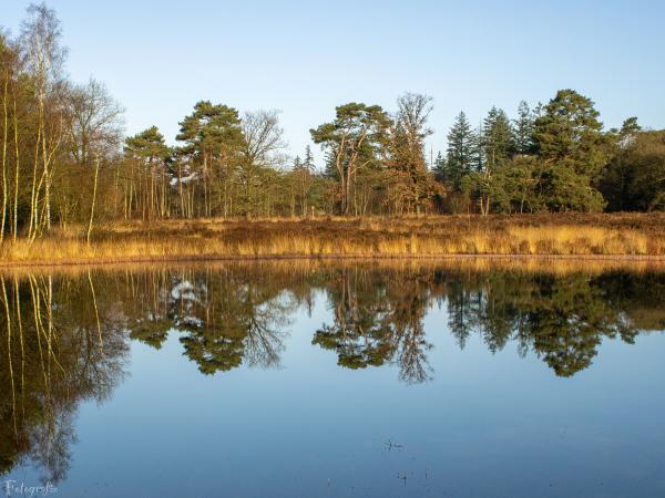 Surroundings [summer] (1-5 km)