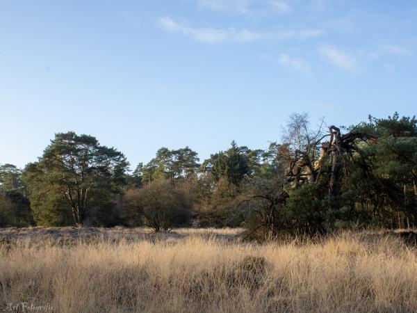 Surroundings [summer] (1-5 km)