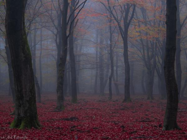 Surroundings [summer] (1-5 km)