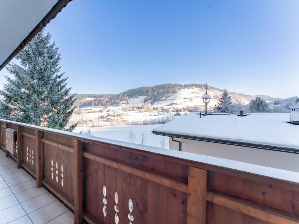 Patio / Balcony