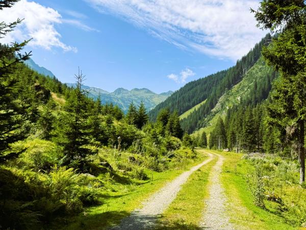 Umgebung [Sommer] (1-5 km)