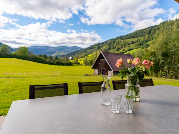 Terrasse / Balkon