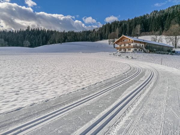 Außenseite Ferienhaus [Winter]