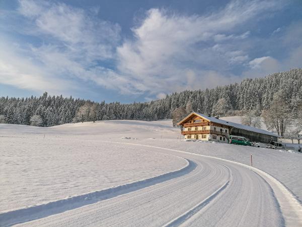 Außenseite Ferienhaus [Winter]