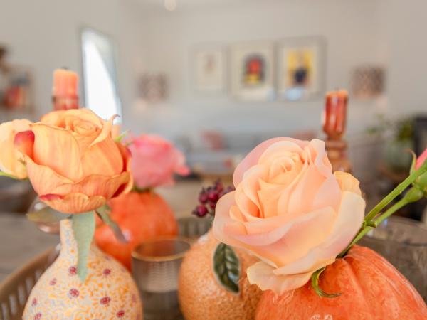 Ambiance / Close-up