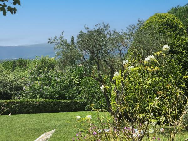 Aussicht vom Ferienhaus [Sommer]