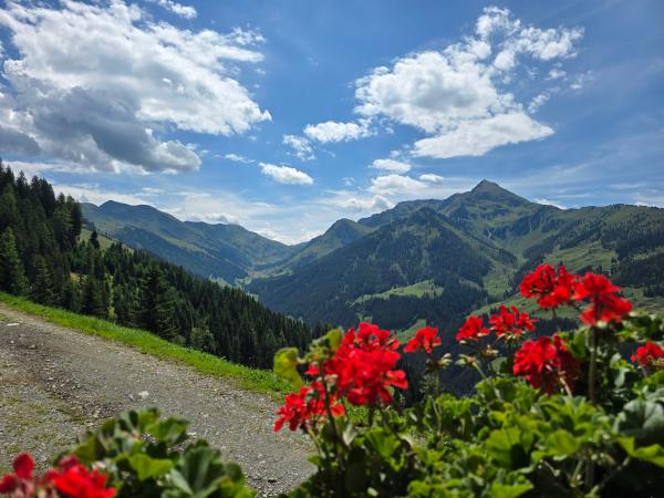 Vue de la maison de vacances [été]